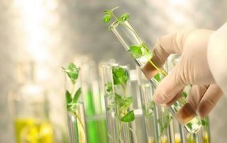 مجوز کلینیک گیاه پزشکی