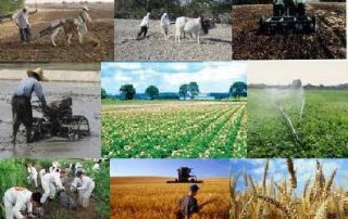 ثبت شرکت تعاونی کشاورزی