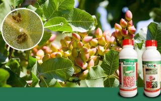 مجوز تاسیس شرکت پخش آفت کش نباتی