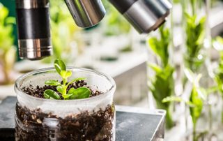 پروانه تاسیس کلینیک گیاهپزشکی