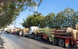 مجوز خروج محموله های گیاهی از گمرک