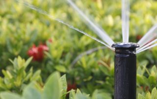 مجوز جداسازی آب شرب از آب فضای سبز شهری